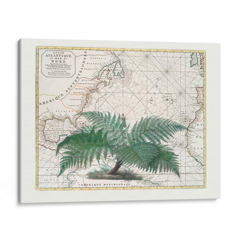 Imperio Tropical No4 - Andrea Haase | Cuadro decorativo de Canvas Lab