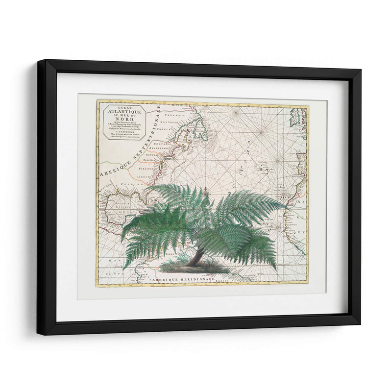 Imperio Tropical No4 - Andrea Haase | Cuadro decorativo de Canvas Lab