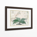 Imperio Tropical No4 - Andrea Haase | Cuadro decorativo de Canvas Lab