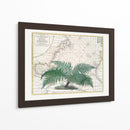 Imperio Tropical No4 - Andrea Haase | Cuadro decorativo de Canvas Lab