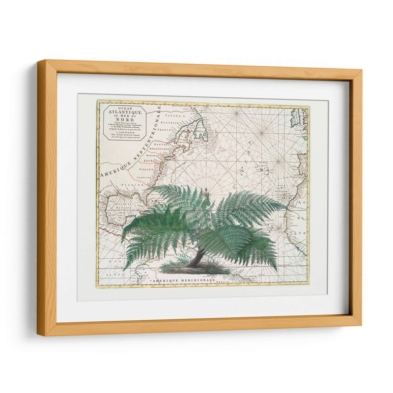 Imperio Tropical No4 - Andrea Haase | Cuadro decorativo de Canvas Lab