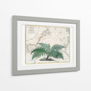 Imperio Tropical No4 - Andrea Haase | Cuadro decorativo de Canvas Lab