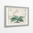 Imperio Tropical No4 - Andrea Haase | Cuadro decorativo de Canvas Lab