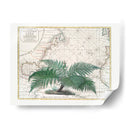 Imperio Tropical No4 - Andrea Haase | Cuadro decorativo de Canvas Lab