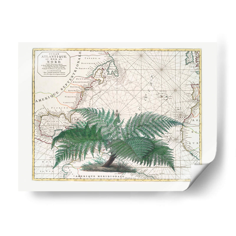 Imperio Tropical No4 - Andrea Haase | Cuadro decorativo de Canvas Lab