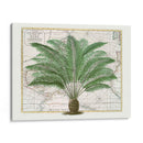 Imperio Tropical No5 - Andrea Haase | Cuadro decorativo de Canvas Lab