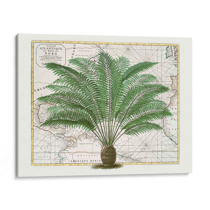 Imperio Tropical No5 - Andrea Haase | Cuadro decorativo de Canvas Lab