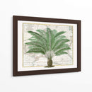 Imperio Tropical No5 - Andrea Haase | Cuadro decorativo de Canvas Lab