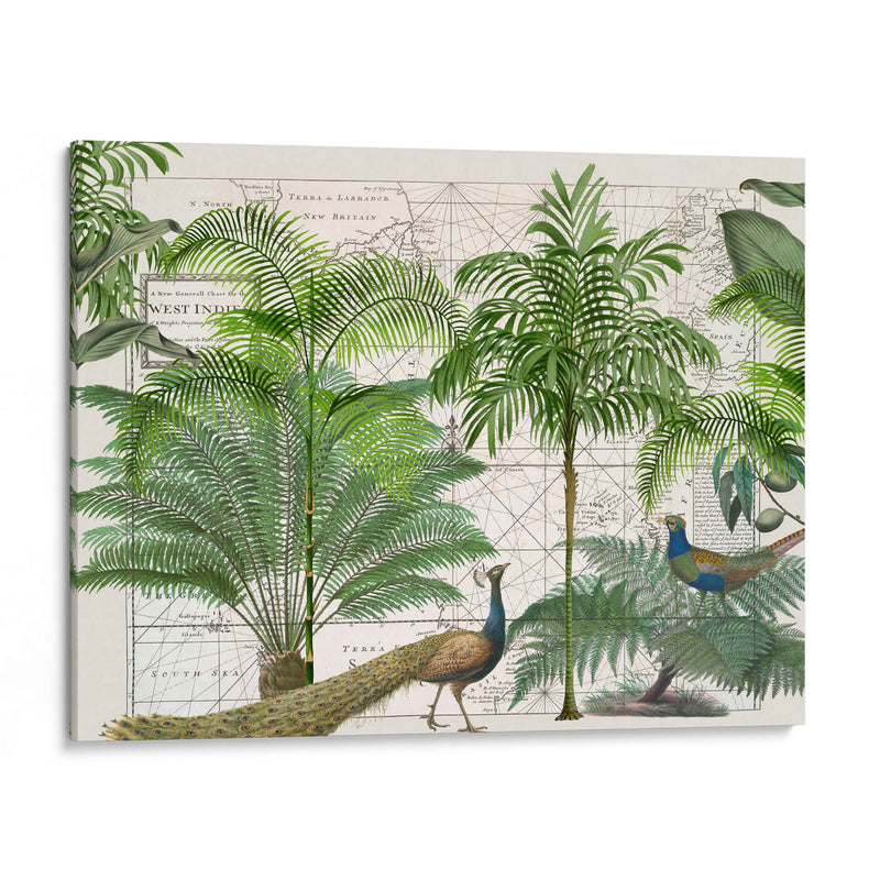 Imperio Tropical No6 - Andrea Haase | Cuadro decorativo de Canvas Lab