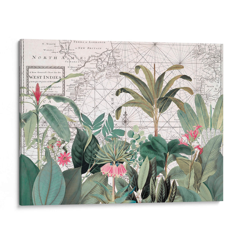 Vida Silvestre Exótica 005 1 - Andrea Haase | Cuadro decorativo de Canvas Lab