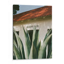 Desert Veil - Bethany Young | Cuadro decorativo de Canvas Lab