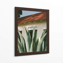 Desert Veil - Bethany Young | Cuadro decorativo de Canvas Lab