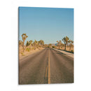 Joshua Tree Road II - Bethany Young | Cuadro decorativo de Canvas Lab