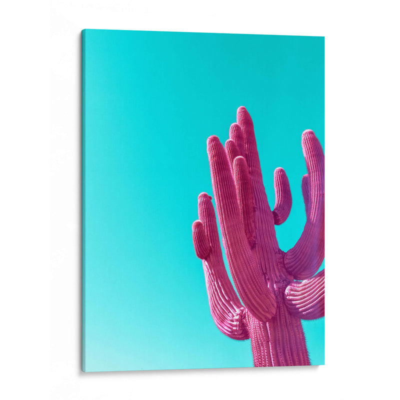 Saguaro Rosa Magenta - Tom Windeknecht | Cuadro decorativo de Canvas Lab