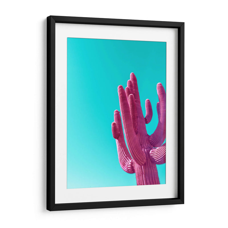 Saguaro Rosa Magenta - Tom Windeknecht | Cuadro decorativo de Canvas Lab