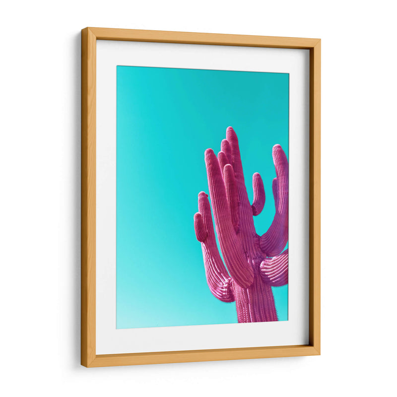 Saguaro Rosa Magenta - Tom Windeknecht | Cuadro decorativo de Canvas Lab