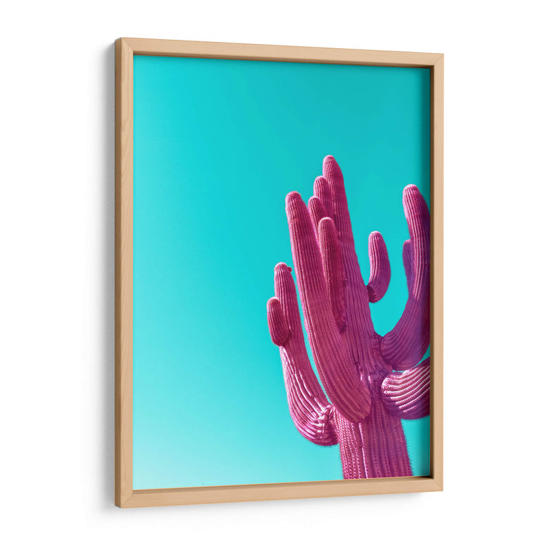 Saguaro Rosa Magenta - Tom Windeknecht | Cuadro decorativo de Canvas Lab