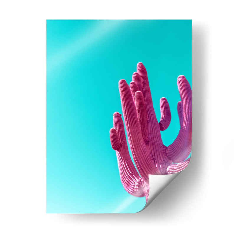 Saguaro Rosa Magenta - Tom Windeknecht | Cuadro decorativo de Canvas Lab