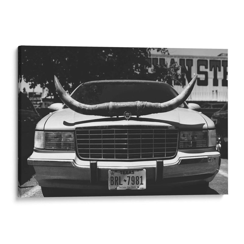 Viaje en Texas - Bethany Young | Cuadro decorativo de Canvas Lab