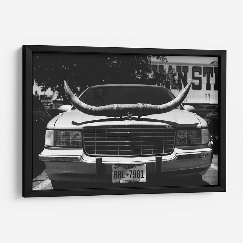 Viaje en Texas - Bethany Young | Cuadro decorativo de Canvas Lab