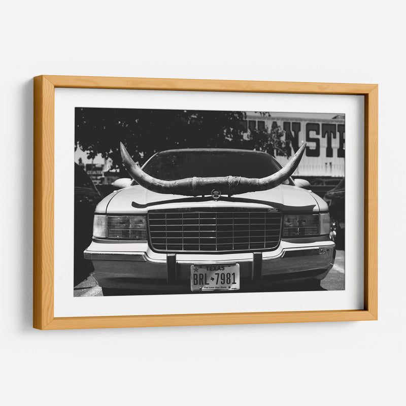 Viaje en Texas - Bethany Young | Cuadro decorativo de Canvas Lab