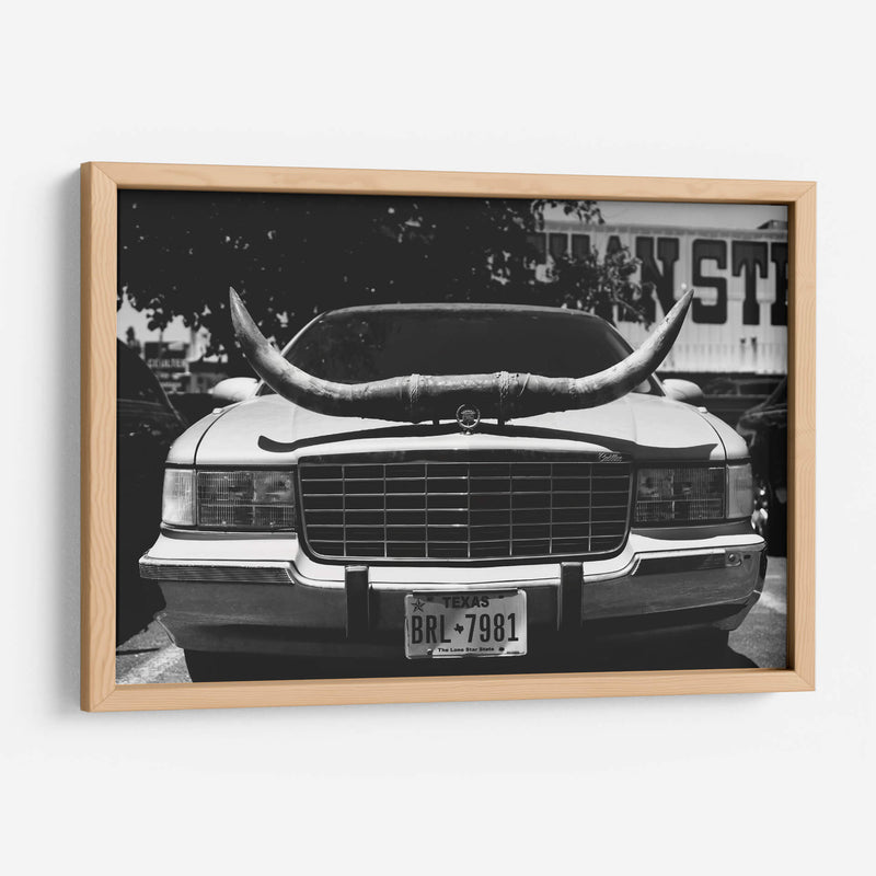 Viaje en Texas - Bethany Young | Cuadro decorativo de Canvas Lab