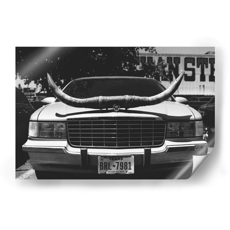 Viaje en Texas - Bethany Young | Cuadro decorativo de Canvas Lab