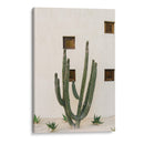 Cabo Cactus IX - Bethany Young | Cuadro decorativo de Canvas Lab