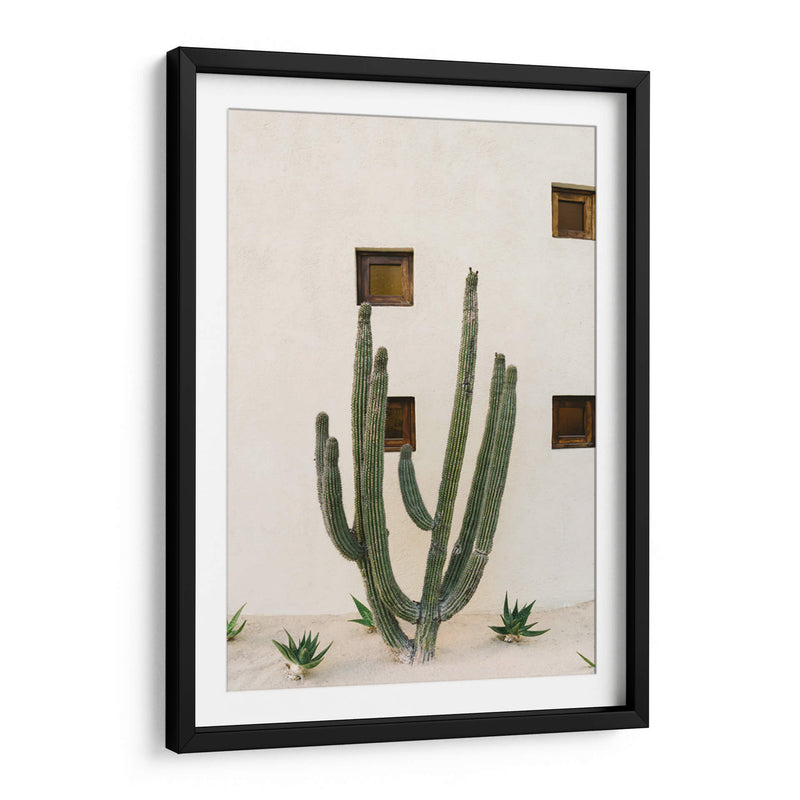 Cabo Cactus IX - Bethany Young | Cuadro decorativo de Canvas Lab