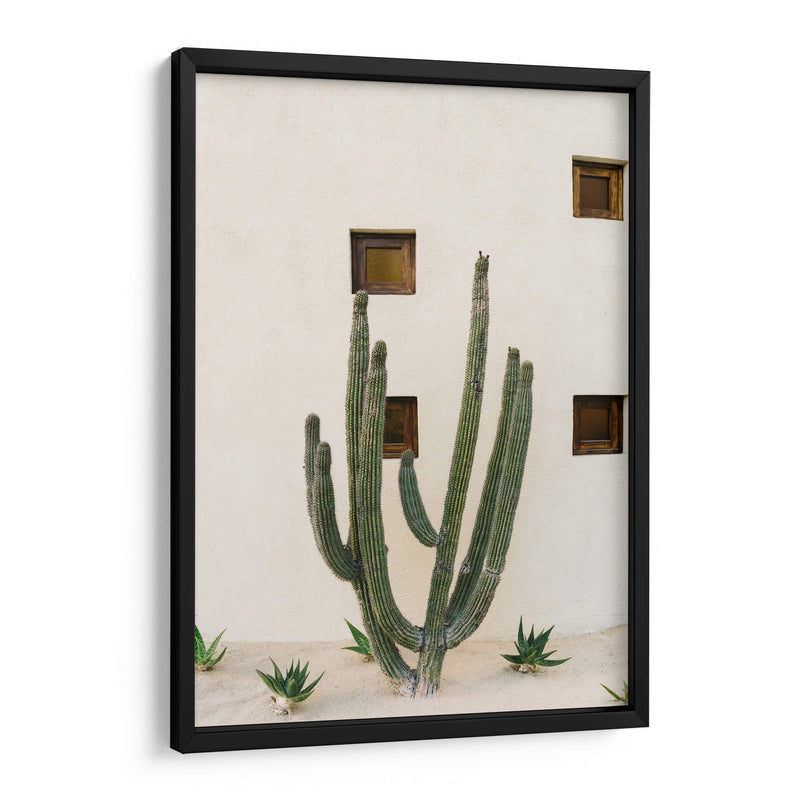 Cabo Cactus IX - Bethany Young | Cuadro decorativo de Canvas Lab