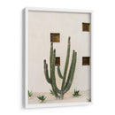 Cabo Cactus IX - Bethany Young | Cuadro decorativo de Canvas Lab