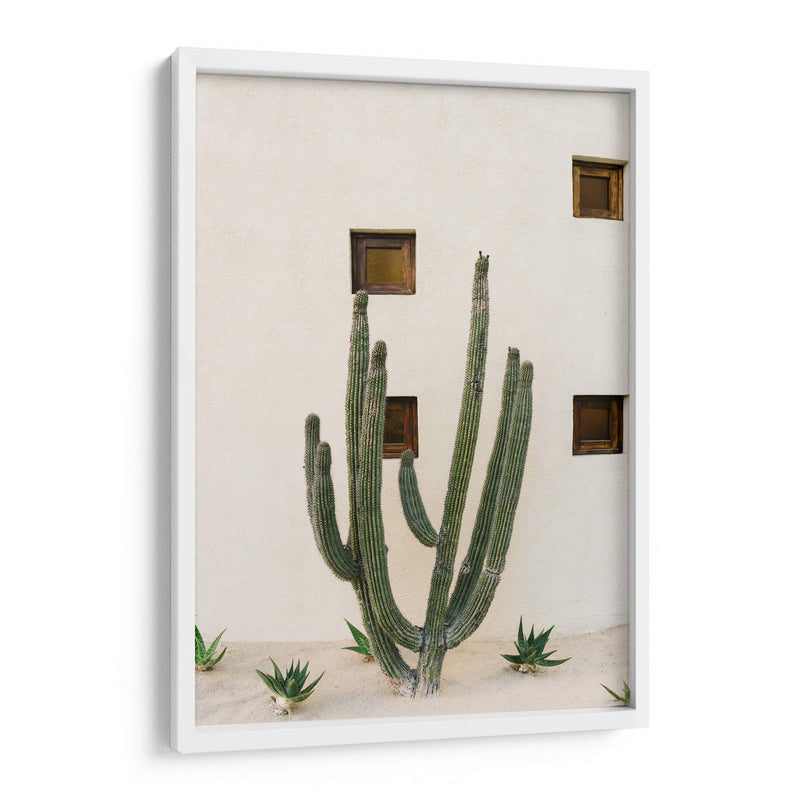 Cabo Cactus IX - Bethany Young | Cuadro decorativo de Canvas Lab