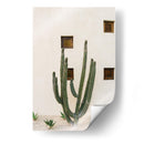 Cabo Cactus IX - Bethany Young | Cuadro decorativo de Canvas Lab