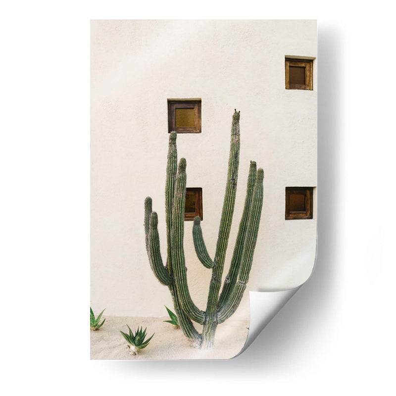 Cabo Cactus IX - Bethany Young | Cuadro decorativo de Canvas Lab