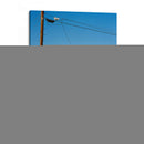 Autobús del árbol Joshua - Bethany Young | Cuadro decorativo de Canvas Lab