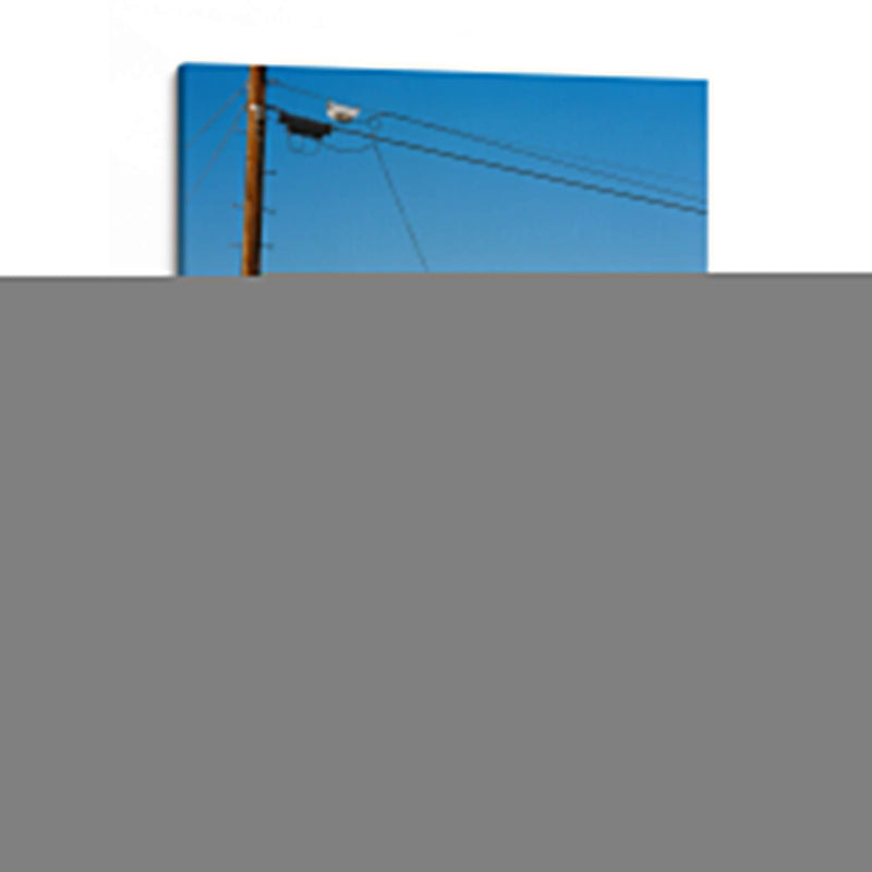 Autobús del árbol Joshua - Bethany Young | Cuadro decorativo de Canvas Lab