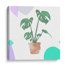 Monstera Deliciosa | Cuadro decorativo de Canvas Lab