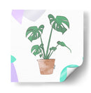 Monstera Deliciosa | Cuadro decorativo de Canvas Lab