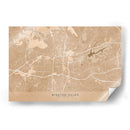 Mapa de Winston Salem (NC, EUA) en estilo vintage sepia - Rosana Laiz Blursbyai | Cuadro decorativo de Canvas Lab