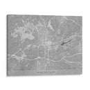 Mapa de Winston Salem (NC USA) en estilo vintage gris - Rosana Laiz Blursbyai | Cuadro decorativo de Canvas Lab