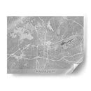 Mapa de Winston Salem (NC USA) en estilo vintage gris - Rosana Laiz Blursbyai | Cuadro decorativo de Canvas Lab