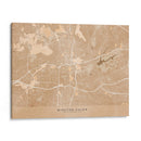 Mapa de Winston Salem (NC, EUA) en estilo vintage sepia - Rosana Laiz Blursbyai | Cuadro decorativo de Canvas Lab