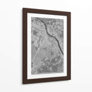 Mapa vintage gris de Bonn Alemania - Rosana Laiz Blursbyai | Cuadro decorativo de Canvas Lab