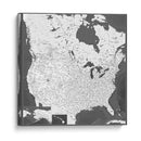 Mapa muy detallado de los Estados Unidos Olson II - Rosana Laiz Blursbyai | Cuadro decorativo de Canvas Lab