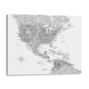 Mapa gris de Estados Unidos y el mar Caribe - Rosana Laiz Blursbyai | Cuadro decorativo de Canvas Lab