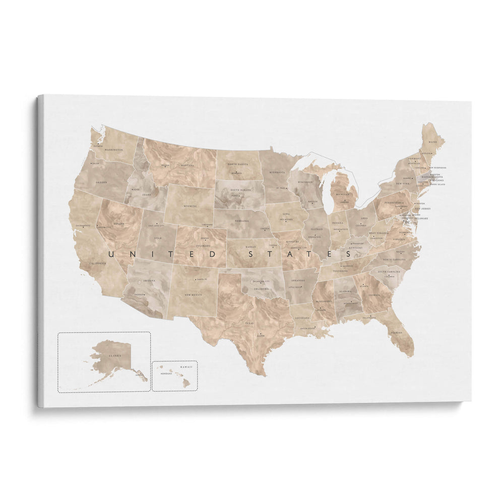 Mapa de Estados Unidos en acuarela color topo - Rosana Laiz Blursbyai | Cuadro decorativo de Canvas Lab