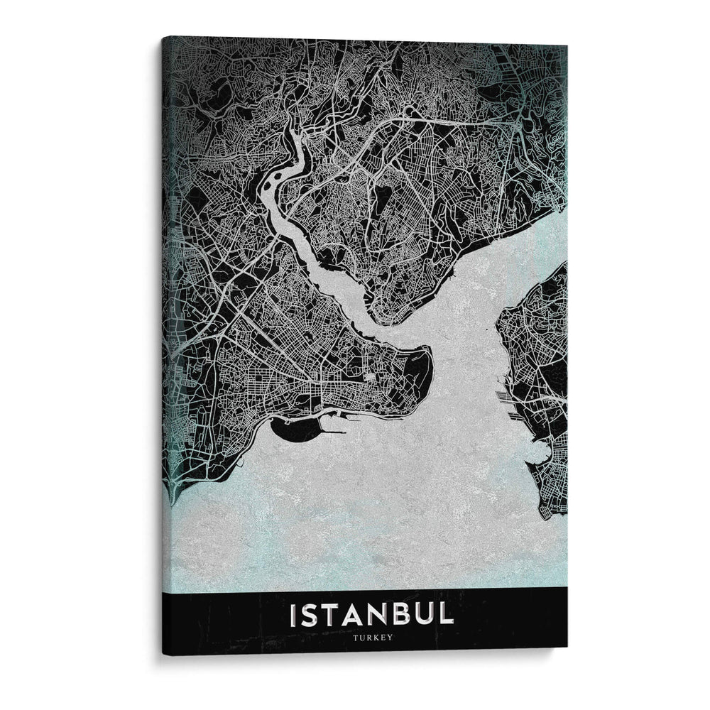 ISTANBUL, Negro - StudioSix | Cuadro decorativo de Canvas Lab