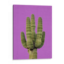 Cactus Morado - Lola Peacock | Cuadro decorativo de Canvas Lab