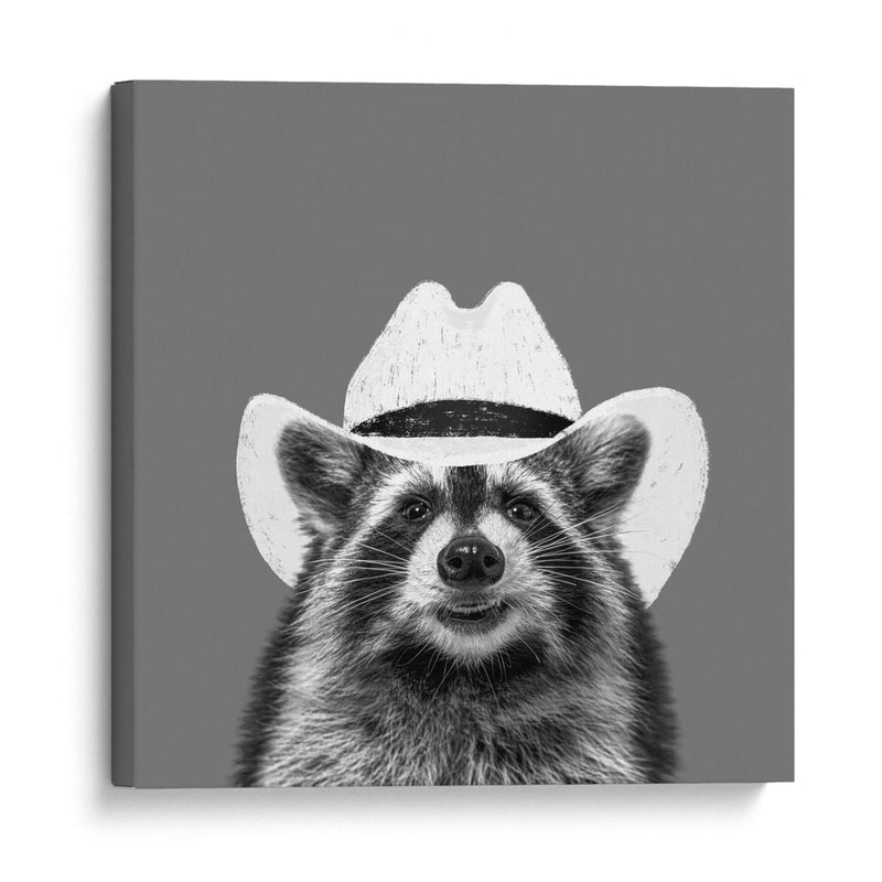 Wyatt el Mapache Vaquero  - Anyone Can Yeehaw | Cuadro decorativo de Canvas Lab