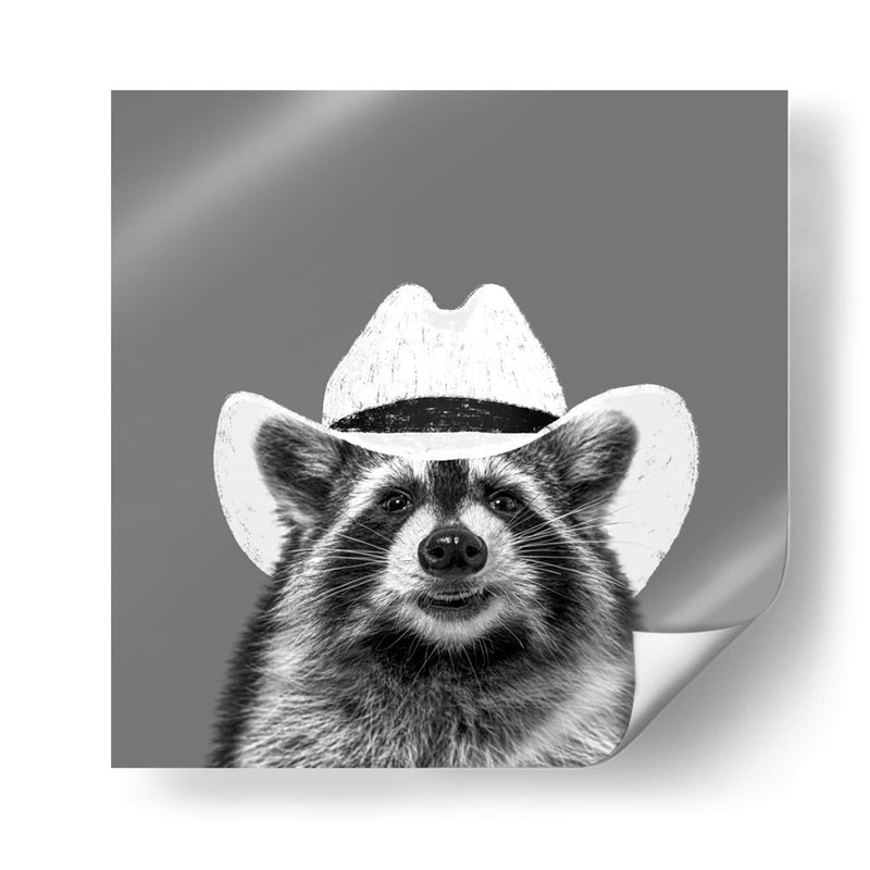 Wyatt el Mapache Vaquero  - Anyone Can Yeehaw | Cuadro decorativo de Canvas Lab